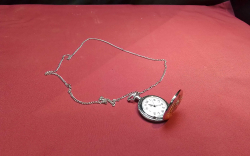 QUARTZ Necklace Watch.