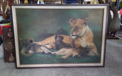 A Large Oil Painting of A Lion Family in the Meadow. 
W.113 L.162 Cm.